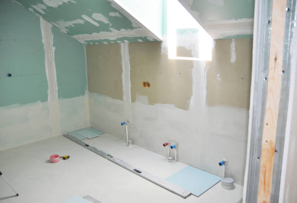 Best Mold Damage Restoration  in Maple Grove, MN