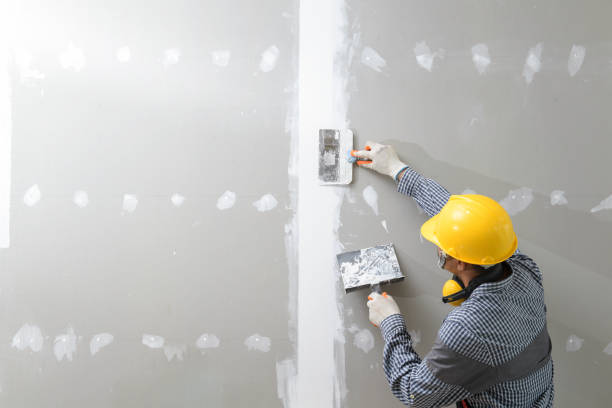 Best Black Mold Removal  in Maple Grove, MN